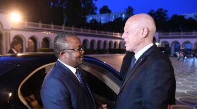 سعيّد : يروّجون كذبا وبهتانا أن تونس بلد يكره أفارقة جنوب الصحراء (فيديو)