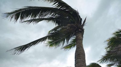 رياح قوية بداية من ظهر اليوم 