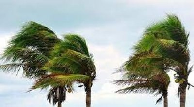 الليلة...هبوب رياح قوية تتجاوز سرعتها 60 كلم في الساعة