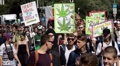 ألمانيا تمضي قدما نحو تقنين القنب