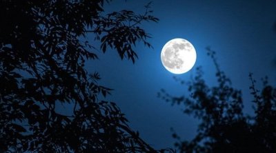 ظاهرة فلكية نادرة..5 كواكب تصطف مع القمر هذا الأسبوع