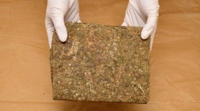 أريانة : إيقاف 5 أشخاص بحوزتهم 20 كغ من ''الزطلة'' 