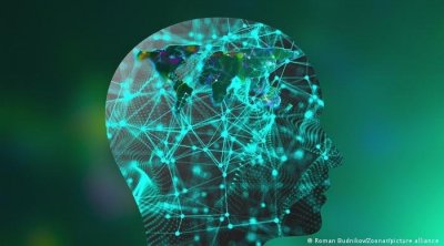 دراسة جديدة : أدمغة الناطقين باللغة العربية مختلفة عن الأدمغة الأخرى