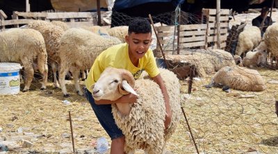 موعد عيد الإضحى فلكيا 