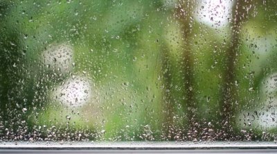 طقس الأحد : أمطار غزيرة بهذه المناطق مع رياح شديدة