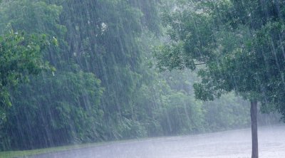 أمطار خلال بداية الأسبوع المقبل 