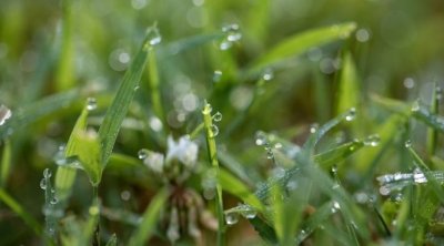 عودة التقلبات الجوية بداية من مساء اليوم الأحد