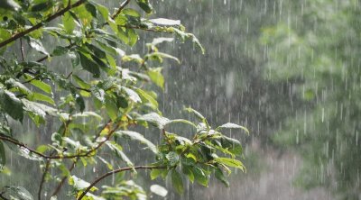 أمطار في هذه المناطق مع إنخفاض في درجات الحرارة 