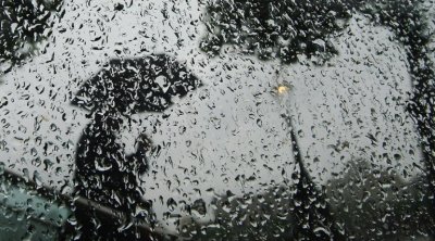 طقس اليوم : أمطار متفرقة ورعدية وأحيانًا غزيرة