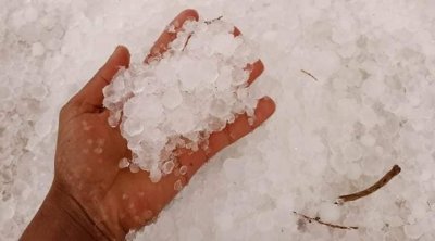 L’UTAP appelle à soutenir les agriculteurs sinistrés suite à la chute de grêle dans le gouvernorat de Kasserine