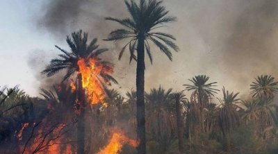 توزر: السيطرة على حريقين منفصلين في واحة حامة الجريد