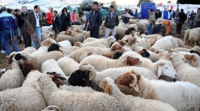 تونس تُعلن عيد الأضحى الأربعاء 28 جوان 2023