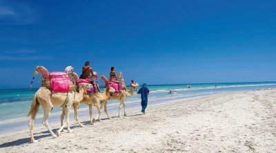 Djerba: vers le développement du tourisme durable
