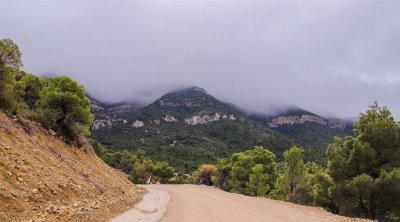 إندلاع حريق في جبل سرج بالقيروان