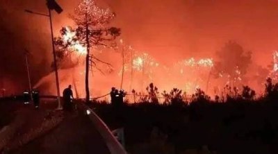 تواصل عمليات إطفاء حريقي ملولة بطبرقة وإجلاء إحدى العائلات تحسّبا لمزيد توسع دائرة النيران