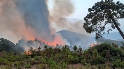 إغلاق مؤقت للمعبر الحدودي بملولة بسبب توسع دائرة الحرائق