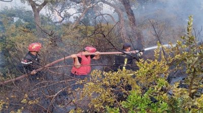 الحماية المدنية: إحراز تقدم كبير في السيطرة على الحريقين بغابات ملولة