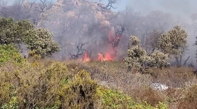 عين دراهم : السيطرة على حريق بغاية أولاد هلال وتجنب خسائر كادت تكون فادحة