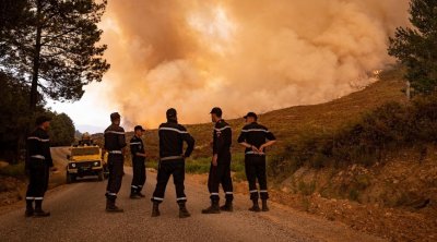 مقتل 15 شخصا بسبب حرائق الغابات في الجزائر 