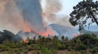 وحدات الجيش الوطني تتدخل في حريق غابات ملولة 