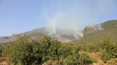 القيروان : اندلاع حريق بجبل زغدود في الوسلاتية