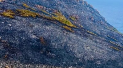 تونس : غابات الشمال الغربي تلتحف السواد  (صور)