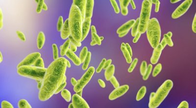 قبلي : ارتفاع عدد حالات الإصابة بالحمى المالطية