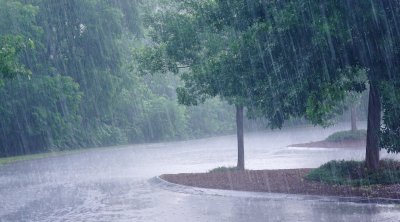 خلايا رعدية مع أمطار محليا غزيرة ورياح قوية بداية من غدا 