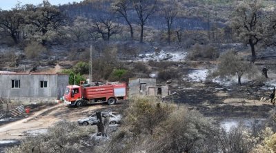 تونس تسجل  50 حريقًا بالغابات و91 بالمحاصيل الزراعية منذ بداية جويلية 2023