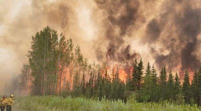 Canada : les feux de forêt provoquent l’évacuation de la plus grande ville du Nord