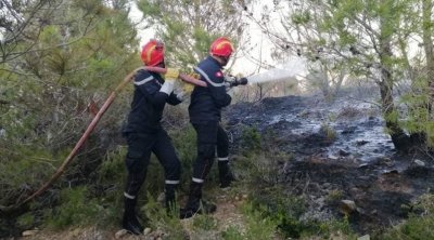 إندلاع حريق في جبل النحلي بأريانة