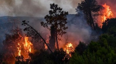 جندوبة : تقدم هام في عمليات إطفاء حرائق فرنانة وعين دراهم وبلطة بوعوان