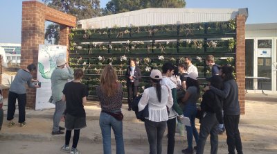 Le mur végétal, un système de traitement des eaux grises en vue de leur valorisation en milieu urbain