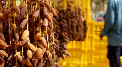 Tozeur : La production de dattes estimée en hausse de 23%