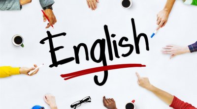 نجيب الدزيري : هناك توجّه لجعل اللغة الإنقليزية اللغة الثانية بدلا من الفرنسية 