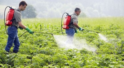 باجة : الكشف عن مصنع غير مرخّص لتصنيع الأدوية والأسمدة الفلاحية