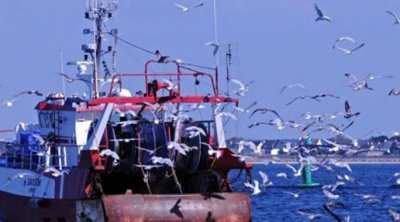 جرزونة : ضبط مركب بصدد صيد المرجان دون ترخيص