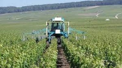 Baisse de 13,15% des primes émises en assurance risques agricoles, en 2022