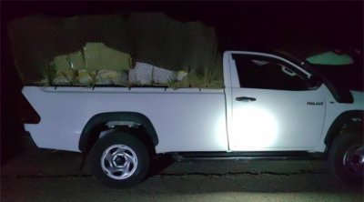 مدنين : حجز سلع مهربة بقيمة 400 مليون 