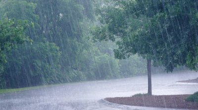 وزارة الفلاحة تدعو المواطنين إلى توخي الحذر 