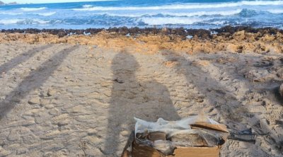 العثور على 165 صفيحة من ''الزطلة'' في شاطئ الهوارية 