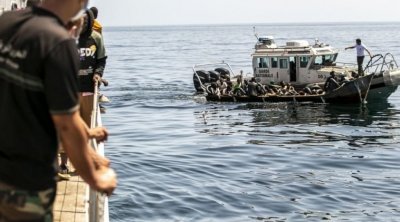 وزير داخلية إيطاليا : تونس أوقفت 84 ألف مهاجر منذ بداية العام
