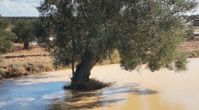 أعلاها 130 مم بالمنستير: كميّات الأمطار في الساعات الـ24 الأخيرة