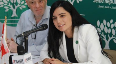 سرحان الناصري : ألفة الحامدي ''كراكوز'' 