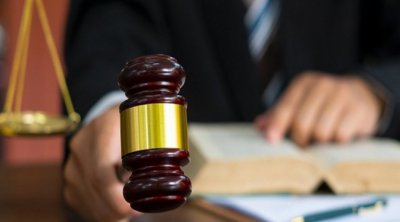 القصرين : إيقاف شخص قام بتعذيب قطّ حتى الموت 