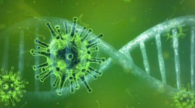 6 فيروسات منتشرة بين التونسيين..هذه تفاصيلها 