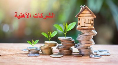 مراجعة سقف تمويل الشركات الأهلية 