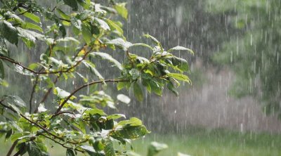 خبير في الطقس : منخفض جوي جديد سيساهم في تحسين وضعية السدود 