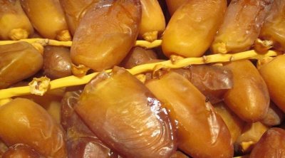 Manouba: Saisie de 17 tonnes de dattes