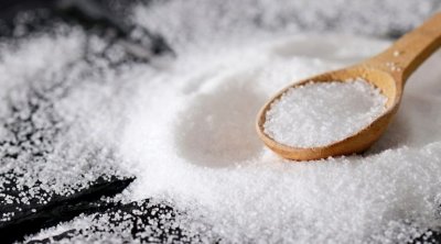 مصنع السكر بباجة يستأنف نشاطه غدا الإثنين 